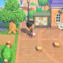 Jeu vidéo - Animal Crossing : New Horizons - Nintendo Switch 2 Edition