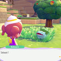 Jeu vidéo - Pokémon Pokopia (NINTENDO SWITCH 2)